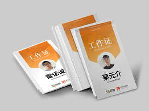 vi 印刷品与包装装潢印刷品印刷 品牌视觉的实体呈现